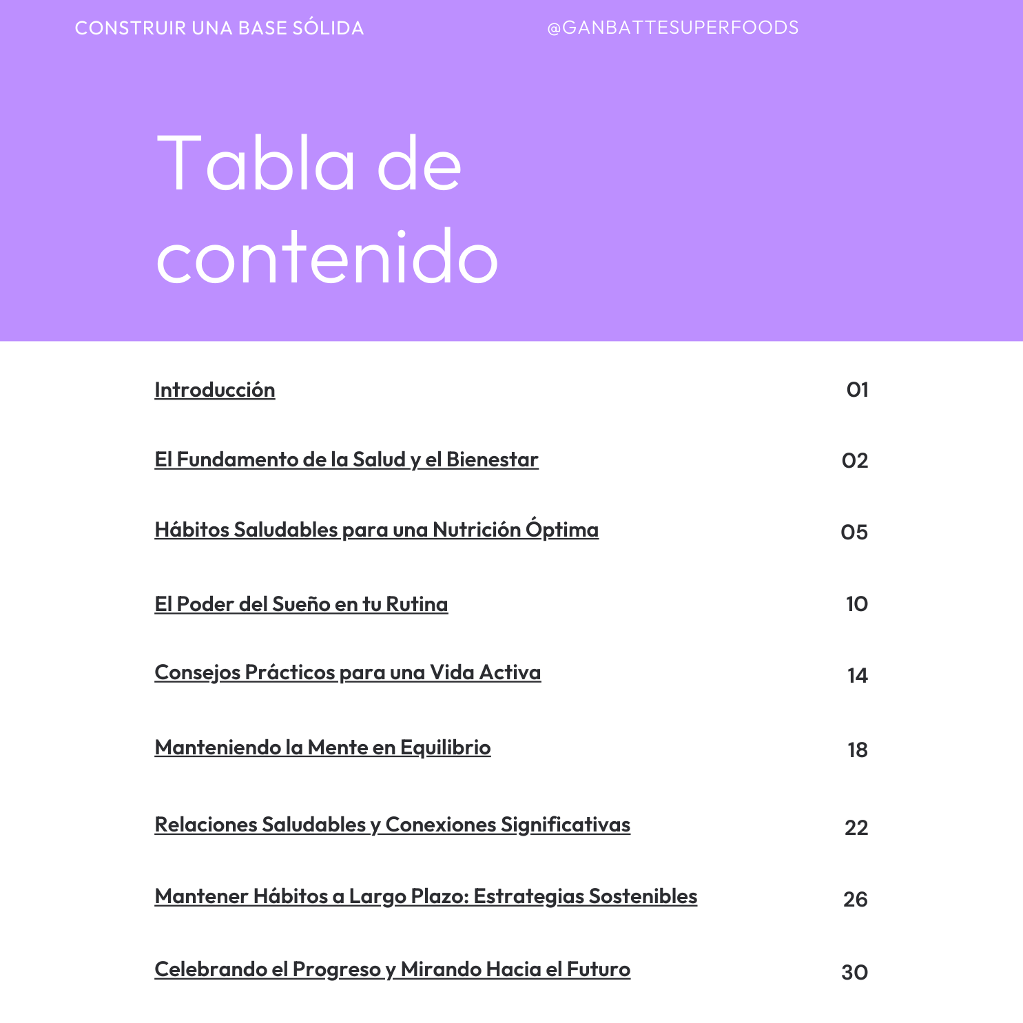 tabla de contenido ebook